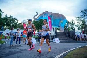 BIB: 
                            <button type="button" onclick="openModal(26551752)" class="btn btn-primary btn-sm float-right btn-popup" data-toggle="modal" data-target=".modal-high-quality">
                        <i class="fas fa-shopping-cart"></i> Add to Cart
                    </button>
                                            <button type="button" onclick="isThisMe(26551752, true)" class="btn btn-success btn-sm float-right btn-popup btn-isme hidden" data-toggle="tooltip" data-placement="bottom" title="นี่คือรูปของคุณใช่ไหม คลิกที่นี่เพื่อเอาเข้าอัลบั้ม">
                        <i class="fas fa-plus"></i> Add to album
                    </button>
                    <button type="button" onclick="isThisMe(26551752, false)" class="btn btn-warning btn-sm float-right btn-popup btn-isnotme hidden">
                        <i class="fas fa-ban"></i> Remove from album
                    </button>